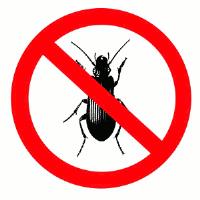 Emergency Pest Control Melbourne image 1